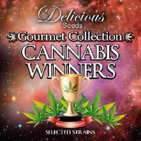 Gourmet Coll. Cannabis Winners 2 > Delicious Seeds