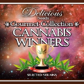 Gourmet Coll. Cannabis Winners 1 > Delicious Seeds