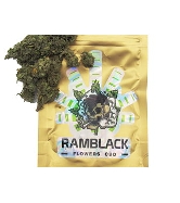 Ramblack CBD flowers > CBD weed