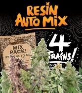 Resin Auto Mix > Seed Stockers