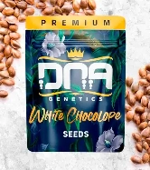 White Chocolope > DNA Genetics