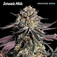 Zerealz Milk > Advanced Seeds